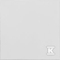 Klawisz pojedynczy do: SW1M, SW6M, SW7M, SP1M: Jasnoszary mat, SIMON55