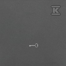Klawisz pojedynczy z piktogramem „klucz” do łączników/przycisków: Grafitowy mat, SIMON55