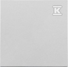 Klawisz pojedynczy do: SW1M, SW6M, SW7M, SP1M: Aluminium mat, SIMON55