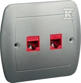 Gniazdo komputerowe RJ45 podwójne, kategoria 5e. Montaż do puszki na