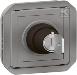 Łącznik na klucz 2 pozycje, mechanizm 10AX-250V~ - szary, NOWE