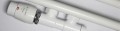 trtl.1_f.jpg
