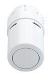 Ogranicznik temperatury powrotu RTX, chrom    013G6190 w