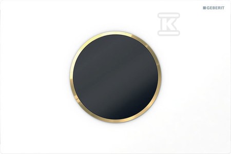 e547bd86cbaebbe8f4c770f224f7a806